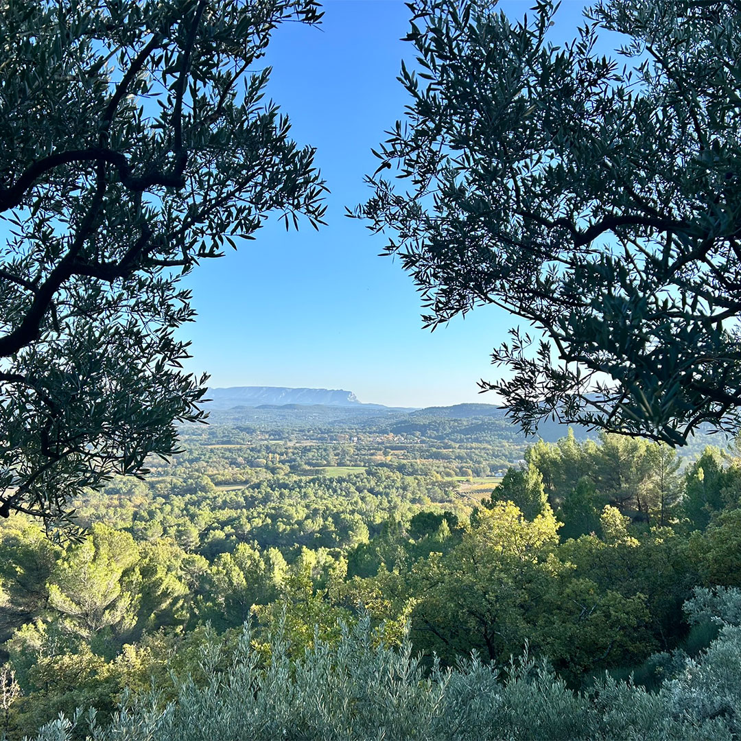 photo-vue-sainte-victoire-gite-domaine-regine-puy-sainte-reparade photo-vue-sainte-victoire-gite-domaine-regine-puy-sainte-reparade